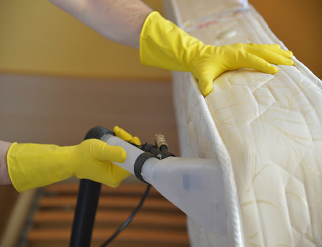 Mattress Cleaning Services Near Me