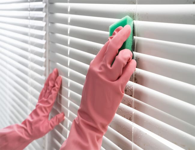 Blind Deep Cleaning Service Near Me