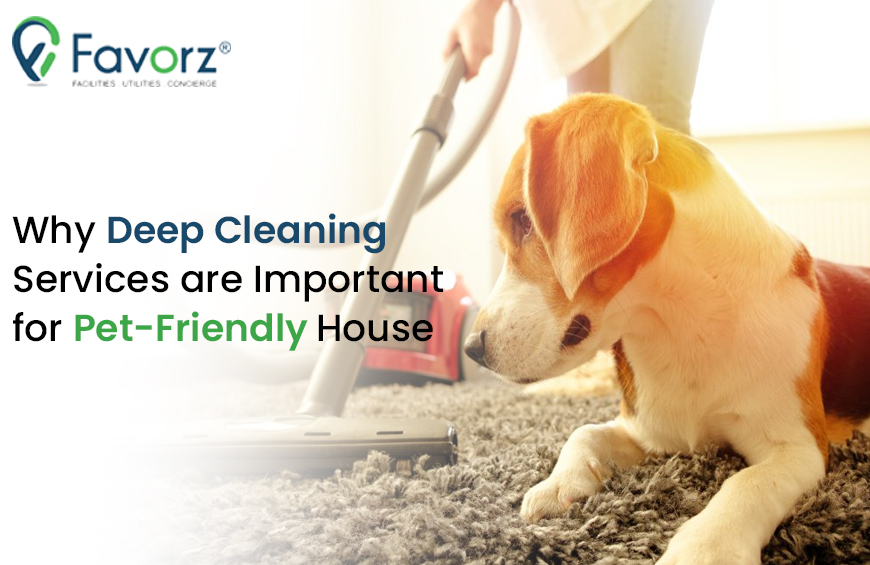 Deep Cleaning Services